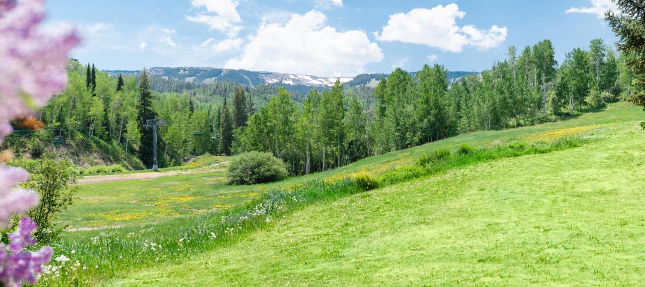 Laurelwood Condominiums 307 Snowmass Village Eksteriør billede